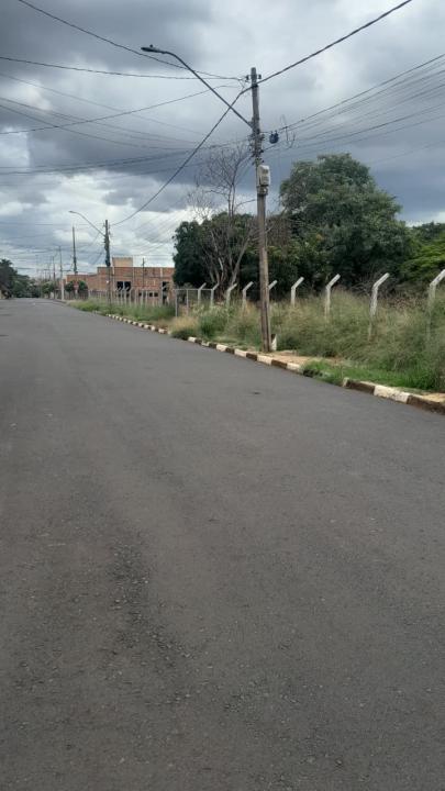 Foto 13 de 16 — Praça do Selmi Dei fica mais de 5 meses sem limpeza e moradores relatam aparecimento de cobras